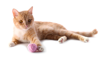 Cute ginger cat playing with ball of yarn on white background