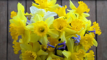 Bouquet di giunchiglia (Narcissus jonquilla)