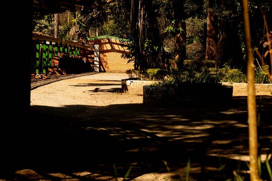 Sunlight, shadows, and many trees in a park on a weekend.