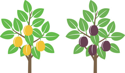 Plum tree logo. Isolated plum tree on white background