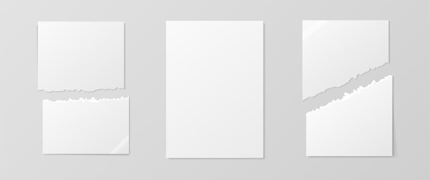 Empty realistic detailed school paper sheet mockup isolated on white background. For your image, logo, text or design. Blank clear paper mockup with shadows. Torn business sheet. Vector illustration
