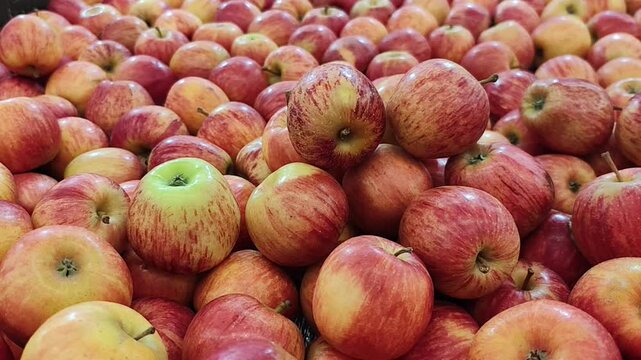 Ma&ccedil;&atilde;s Gala frescas e crocantes em uma banca de mercado