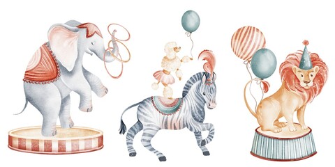 Circus illustration with trained animals, performers, and festive carnival elements. Includes balloons, hoops, and theater setup. Perfect for birthday, carnival, and kids designs. © Elena