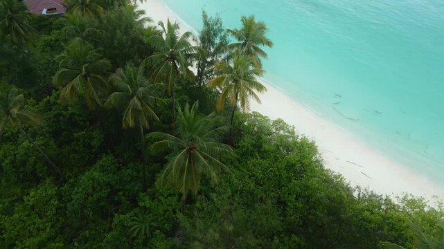 Oyama Beach with Coconut Palm Trees and White Sand, Aerial View Indonesia
