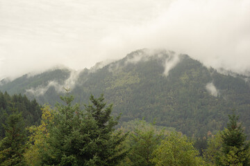 mountain landscape with fog