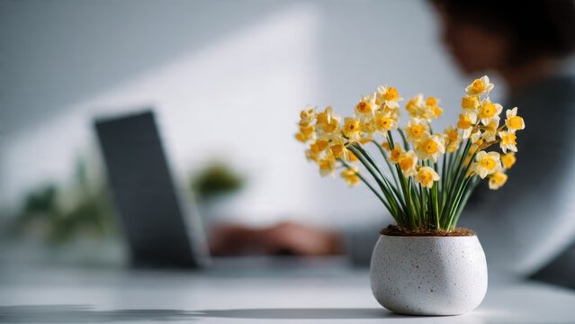 Daffodils in a pot on desk
