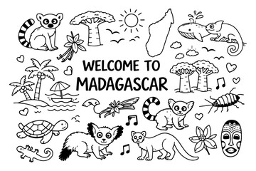 Madagascar travel doodle set, hand drawn exotic animals, lemur, baobab tree and tropical nature illustration in line art style