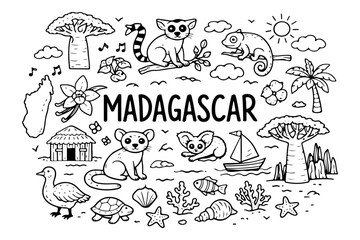 Madagascar travel doodle set, hand drawn exotic animals, lemur, baobab tree and tropical nature illustration in line art style