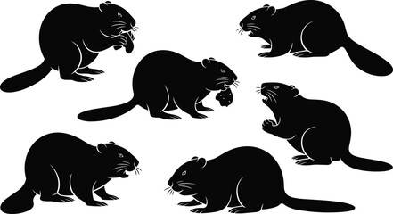 Beaver Silhouette Collection Featuring Standing Sitting and Chewing Rodent Poses Isolated on White Background Vector Illustration Set for Design © Shariyar Pantho