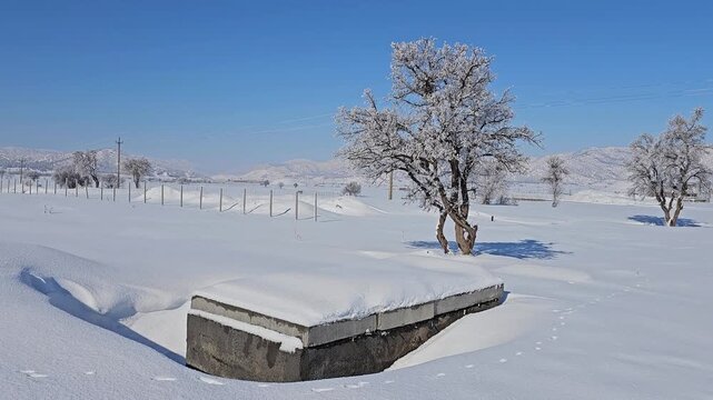 Winter landscape with frosted trees, deep snow, and distant hills under a clear blue sky creating a calm seasonal scene.  
📍Marivan, Kurdistan 