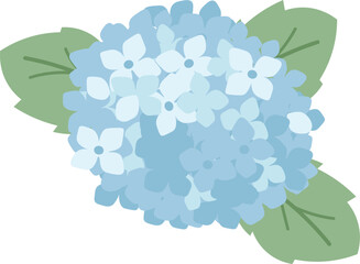 Fototapeta premium Hydrangea Bloom Bouquet Cartoon