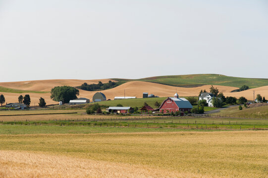 USA, Washington, Pullman.  Pastoral scene of hills and farms in eastern Washington.