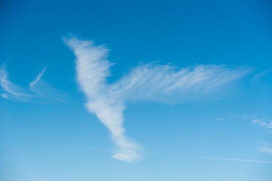 USA, Utah, Highway 24 near Torrey.  Bird shaped cloud formation.