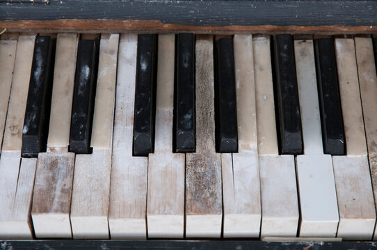 Old weathered piano keys on an instrument that has been left out in the rain.