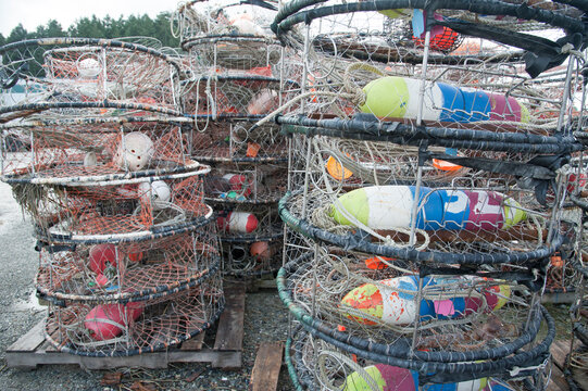 USA, WA, La Conner.  Crab traps stacked on the dock.