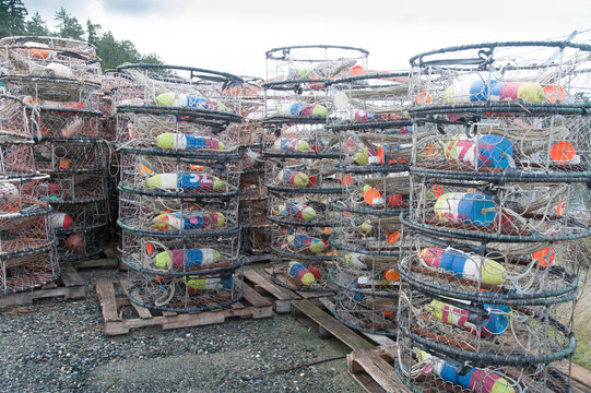 USA, WA, La Conner.  Crab traps stacked on the dock.