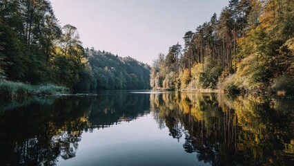 Fototapeta premium Reflections on a serene forest lake