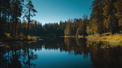 Fototapeta premium Serene lake reflecting forest in peaceful scenery