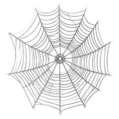 Fototapeta premium Intricate spiderweb, silvery gray threads against a stark black background