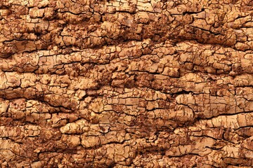 Detailed Cork Texture with Horizontal Grooves in Shades of Brown and Beige Natural Material Background Close Up Shot