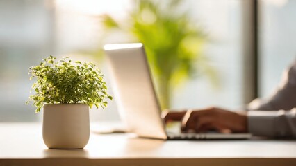 Workplace serenity with laptop and plant