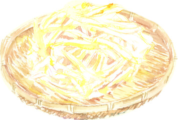 水彩で描いたもやしのイラスト　ベクター