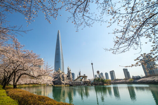 City skyline with skyscraper rising above cherry blossom trees around a calm lake under clear blue sky. 