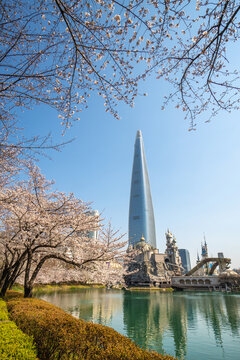 City skyline with skyscraper rising above cherry blossom trees around a calm lake under clear blue sky. 