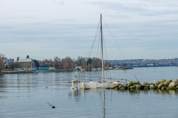 Obraz premium Sunken white sailboat with upright mast partially submerged near Vanier Park with Vancouver Maritime Museum visible on shore in background