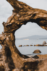 Fototapeta premium Weathered driftwood frame creating natural arch on beach with ocean view, cargo ships, rocks, and mountains in background