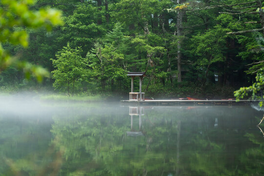 神秘的な早朝の池と鳥居