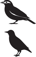 Obraz premium Crow Silhouette Set | Black Raven Bird Vector Illustration