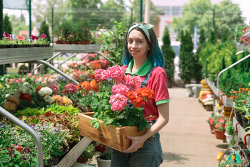 Fototapeta premium Florist working and arranging flower pots in garden store
