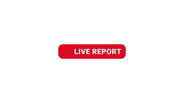 Animated red live report button with flickering recording icon for breaking news broadcast journalism and real time media streaming. Alpha channel