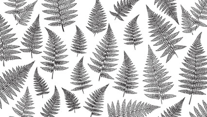 Naklejka premium Wooden Engraving Fern on White Background