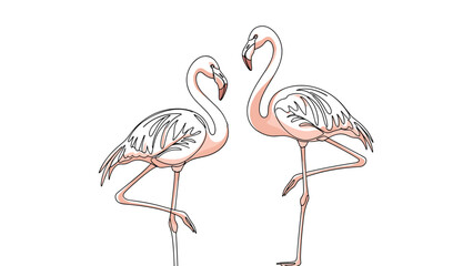 Obraz premium Two elegant pink flamingos standing in profile view with one leg raised against a minimal white background.