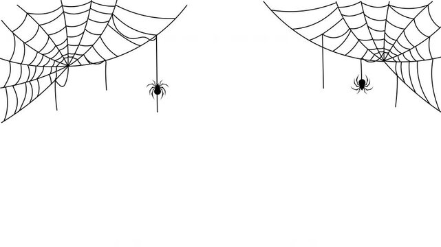 Animated spider webs in corners with hanging black spiders for halloween decoration spooky atmosphere and horror concept background. Alpha channel