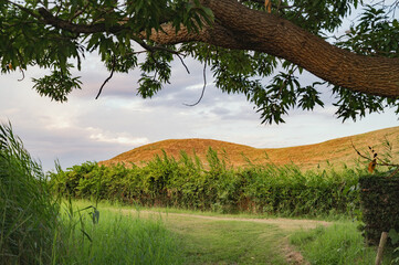 埼玉　夕暮れの二子山古墳（埼玉古墳群）