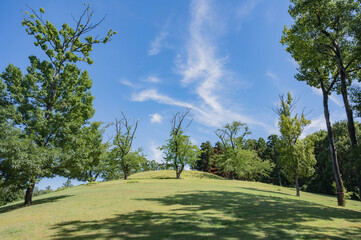 新潟　古津八幡山古墳