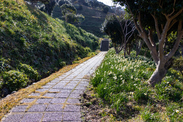 春の日差しに映える道