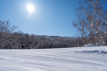 Obraz premium winter landscape snow covered branches