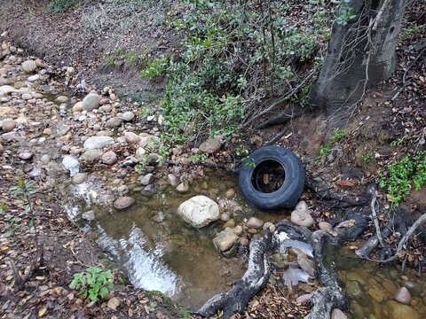 Old Tire Dumped along a Hiking Trail at Tecolote Canyon, San Diego Open Space 