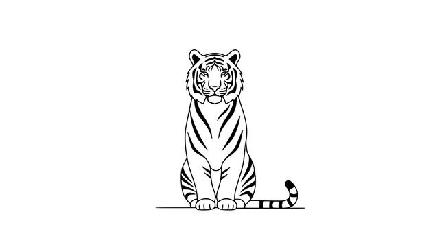 Minimal Line Art Tiger Vector T-Shirt Design Modern Unisex Animal Outline Illustration