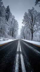 Obraz premium Snow-covered road through winter forest with trees dusted in snow on both sides, overcast sky, peaceful atmosphere, ultra-realistic details, serene natural landscape scene.