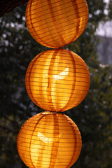 Colorful lanterns hung outdoors for a festive celebration