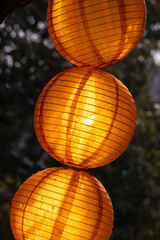 Colorful lanterns hung outdoors for a festive celebration