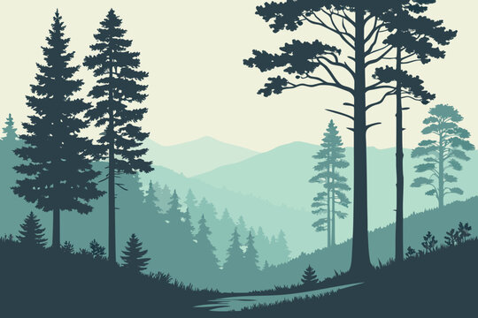 Pine Forest Pathway with Foggy Silhouettes