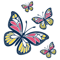 Fototapeta premium Vector Illustration of Colorful Butterflies on White Background.