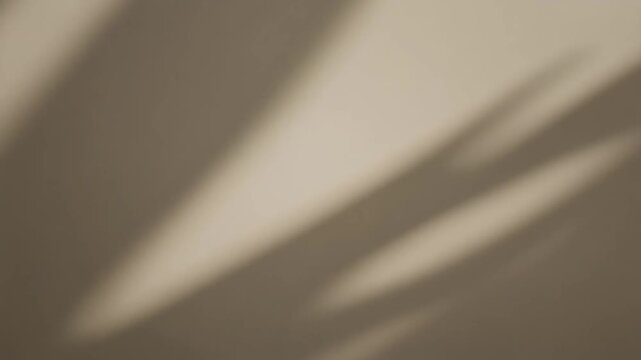 Abstract firefly shadow movement on surface with soft lighting and minimal design, video
