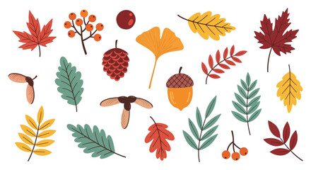 Obraz premium Assorted autumn leaves and foliage arranged in a decorative pattern